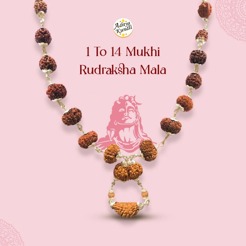 1 to 14 Mukhi Rudraksh Maala Aditya Kundli - Aditya Kundali