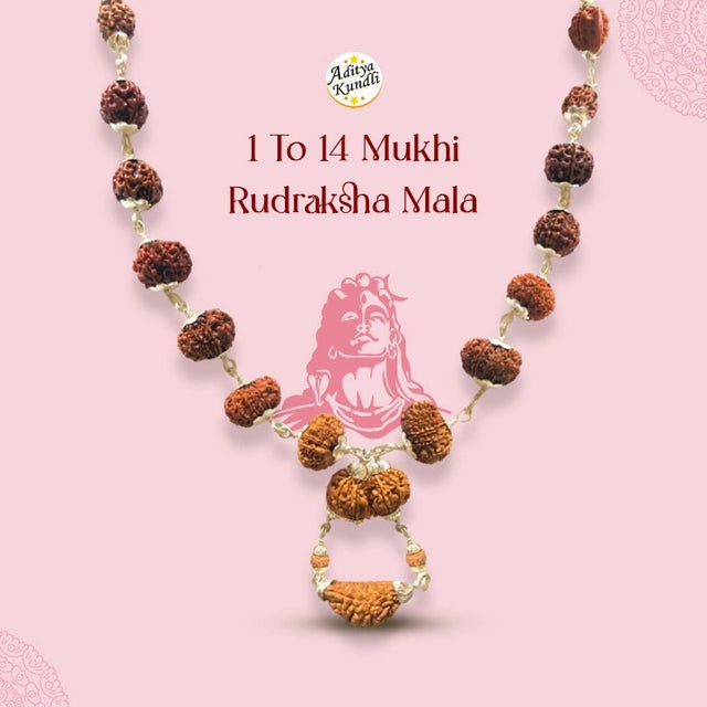 1 to 14 Mukhi Rudraksh Maala Aditya Kundli - Aditya Kundali