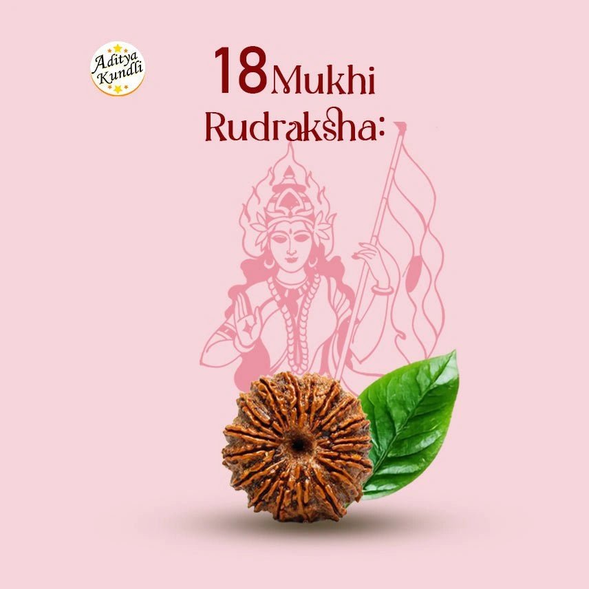 18 Mukhi Rudraksha - Aditya Kundali