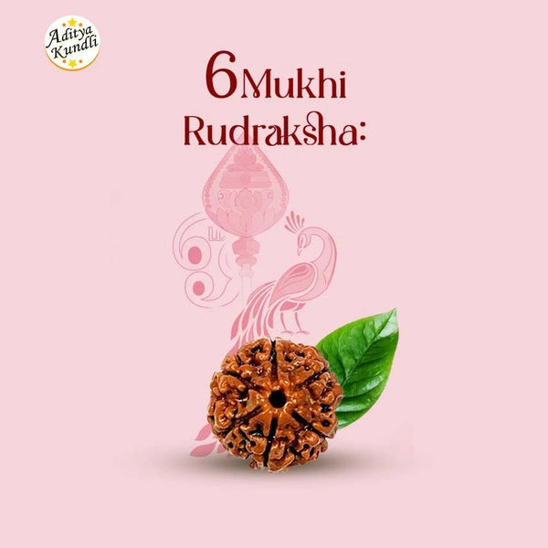 6 Mukhi Rudraksha - Aditya Kundali