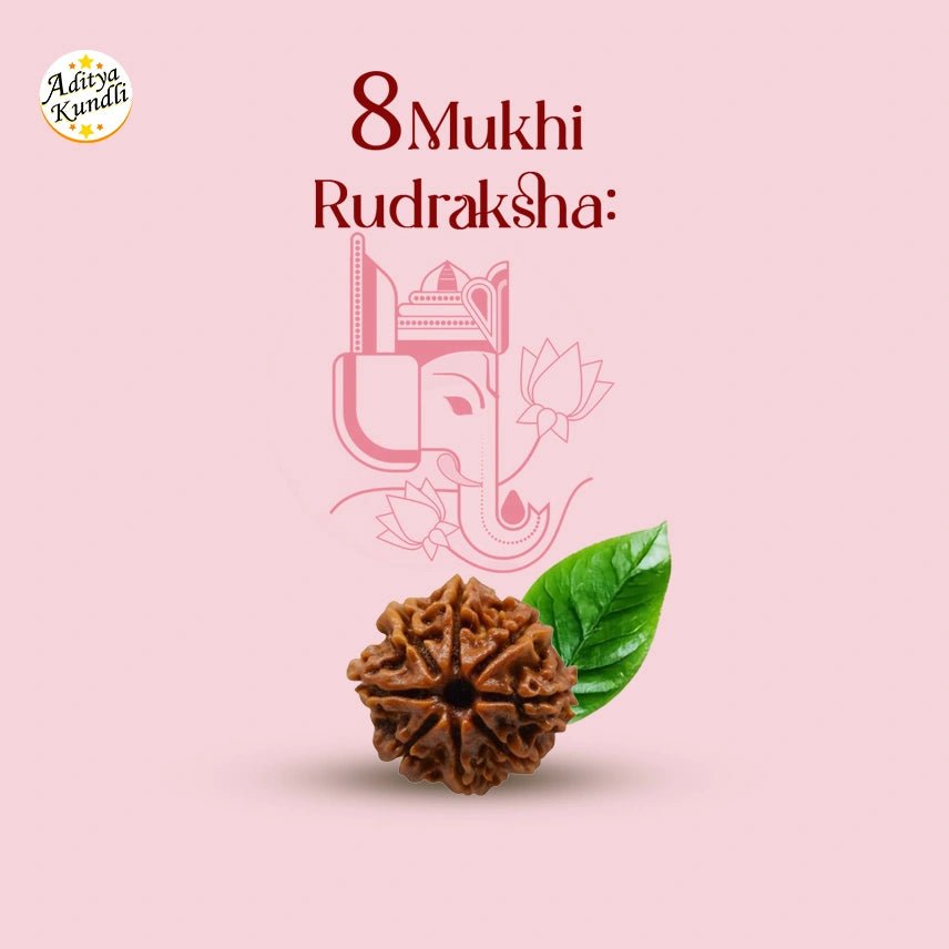 8 Mukhi Rudraksha - Aditya Kundali