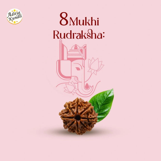 8 Mukhi Rudraksha - Aditya Kundali