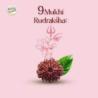 9 Mukhi Rudraksha - Aditya Kundali