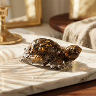 Tiger's Eye Turtle