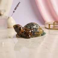 Dhan Vriddhi Turtle