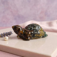 Dhan Vriddhi Turtle