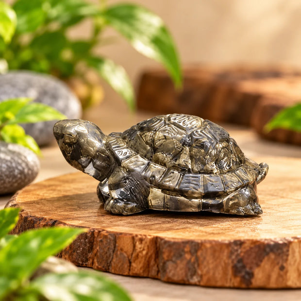 Pyrite Turtle