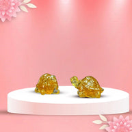 Crystal Tortoise - Aditya Kundali
