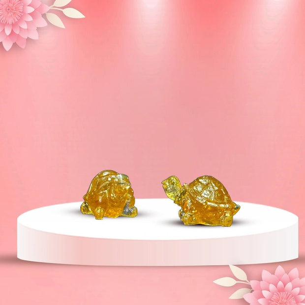 Crystal Tortoise - Aditya Kundali