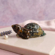 Dhan Vriddhi Turtle - Aditya Kundali