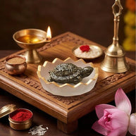 Pyrite Tortoise With Selenite Plate - Aditya Kundali