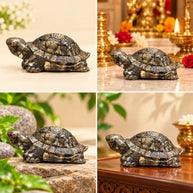 Pyrite Turtle - Aditya Kundali