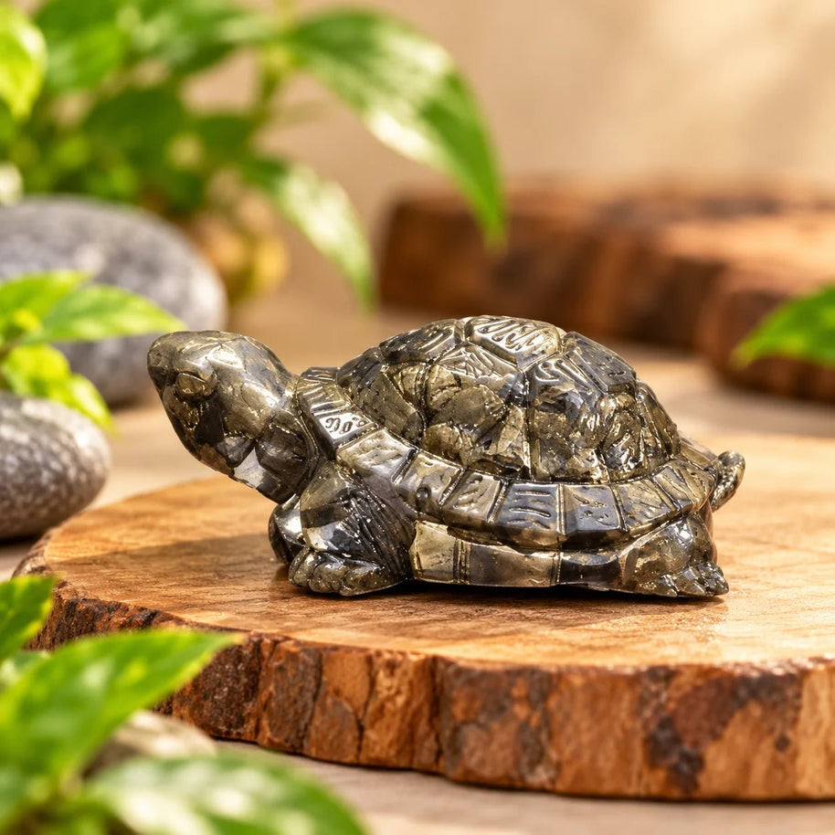 Pyrite Turtle - Aditya Kundali