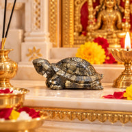 Pyrite Turtle - Aditya Kundali